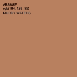 #B8805F - Muddy Waters Color Image